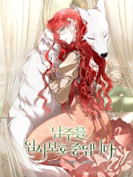 I Will Temporarily Protect the Male Lead